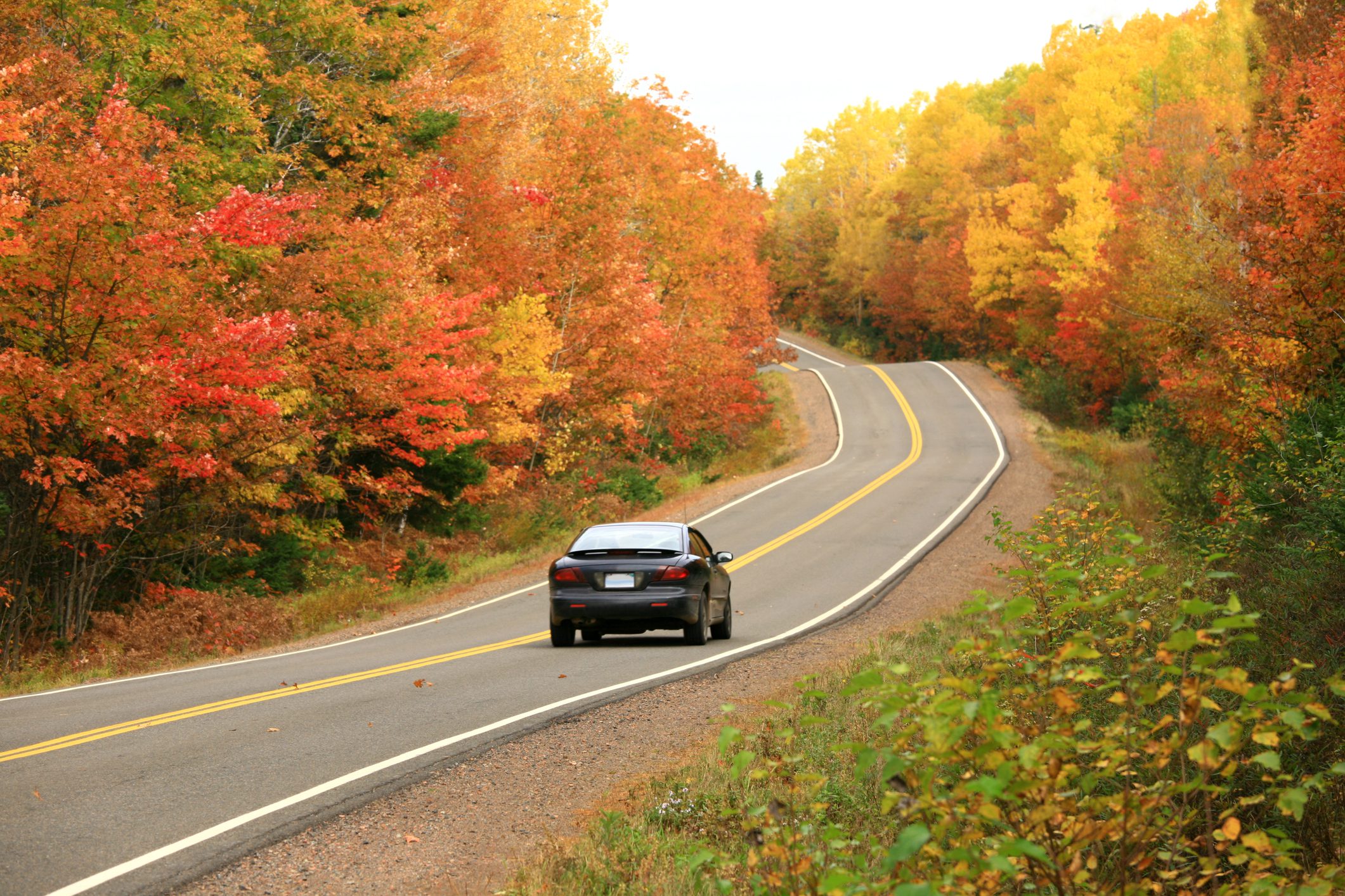 Scenic autumn drive through colorful trees